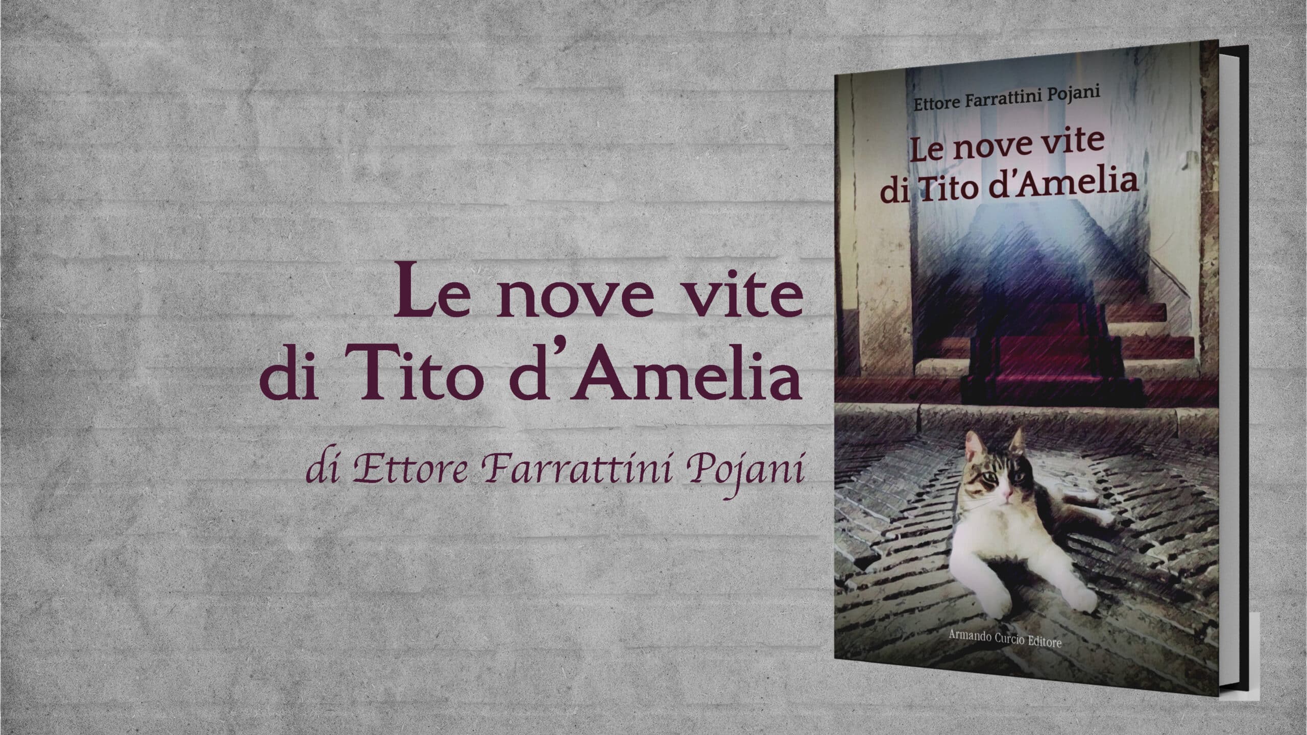 Banner farrattini pojani